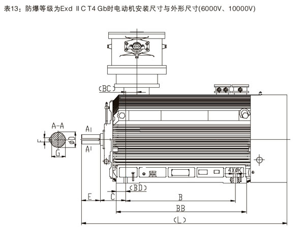 YBX3系列高效率高壓隔爆型三相異步電動(dòng)機(jī)